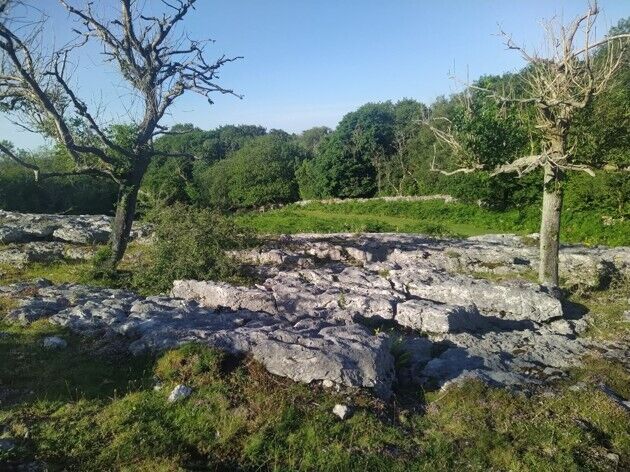 Grey bare rock - trees not mapped