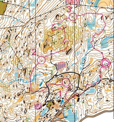 Great Tower line course